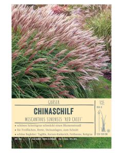 Sortenschild, Miscanthus sinensis 'Red Chief'