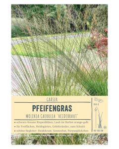 Sortenschild, Molinia caerulea 'Heidebraut'