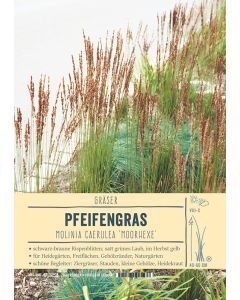 Sortenschild, Molinia caerulea 'Moorhexe'