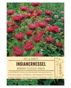 Sortenschild, Monarda Fistulosa