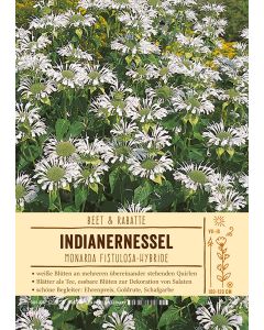 Sortenschild, Monarda Fistulosa