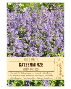 Sortenschild, Nepeta racemosa