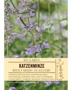 Sortenschild, Nepeta x faassenii 'Six Hills Giant'