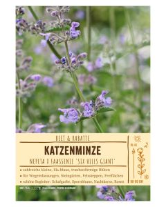 Sortenschild, Nepeta x faassenii 'Six Hills Giant'