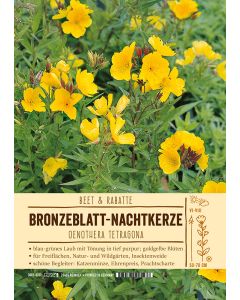 Sortenschild, Oenothera tetragona