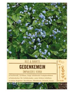 Sortenschild, Omphalodes verna