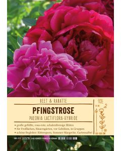 Sortenschild, Paeonia Lactiflora