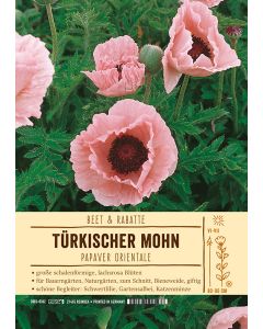Sortenschild, Papaver orientale
