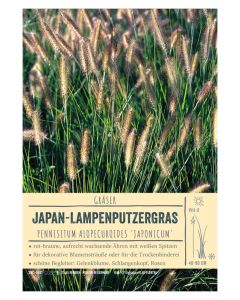 Sortenschild, Pennisetum alopecuroides 'Japonicum'