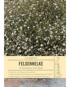 Sortenschild, Petrorhagia saxifraga