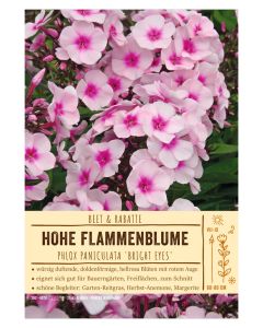 Sortenschild, Phlox paniculata 'Bright Eyes'