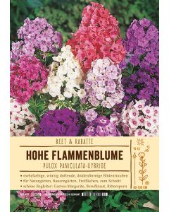 Sortenschild, Phlox Paniculata Hybride