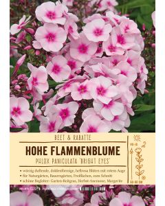 Sortenschild, Phlox Paniculata-Hybride 'Bright Eyes'