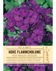 Sortenschild, Phlox Paniculata-Hybride 'Düsterlohe'