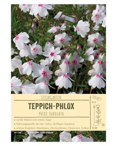 Sortenschild, Phlox subulata