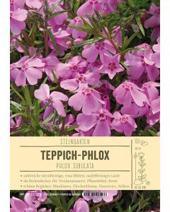 Sortenschild, Phlox subulata