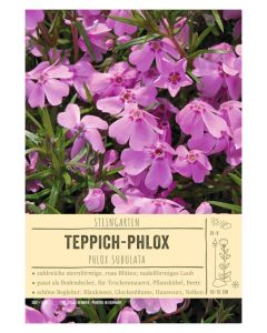 Sortenschild, Phlox subulata