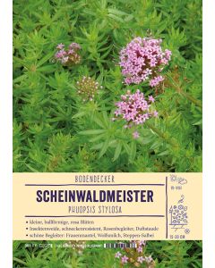 Sortenschild, Phuopsis stylosa