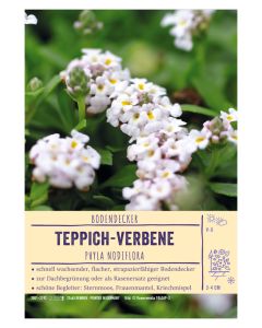Sortenschild, Phyla nodiflora