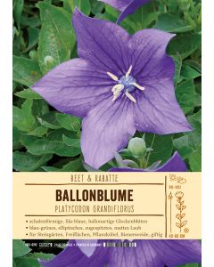 Sortenschild, Platycodon grandiflorus