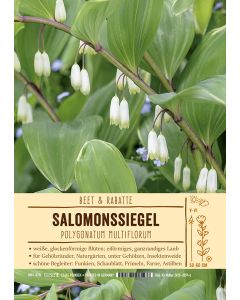 Sortenschild, Polygonatum multiflorum