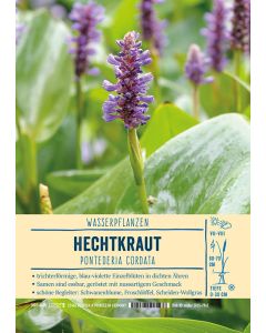 Sortenschild, Pontederia cordata