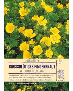 Sortenschild, Potentilla megalantha