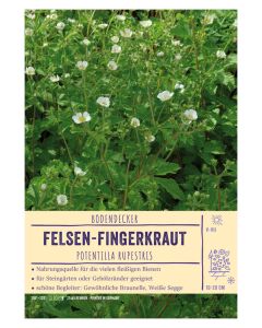 Sortenschild, Potentilla rupestris