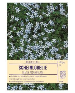 Sortenschild, Pratia pedunculata