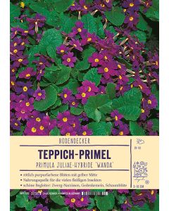 Sortenschild, Primula Juliae-Hybride 'Wanda'