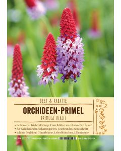 Sortenschild, Primula vialii