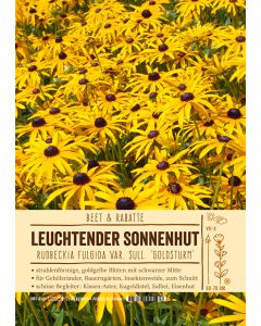 Sortenschild, Rudbeckia fulgida var. sull. 'Goldsturm'