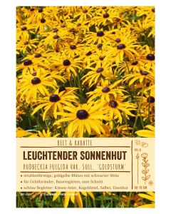Sortenschild, Rudbeckia fulgida var. sull. 'Goldsturm'