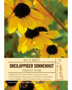 Sortenschild, Rudbeckia triloba