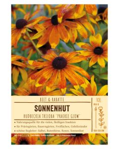 Sortenschild, Rudbeckia triloba 'Prairie Glow'