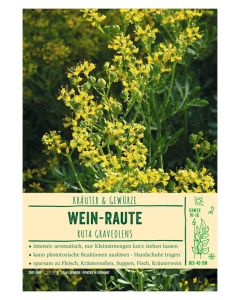 Sortenschild, Ruta graveolens