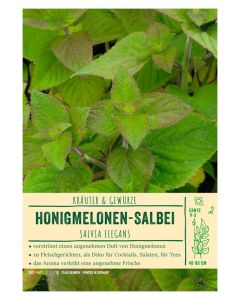 Sortenschild, Salvia elegans