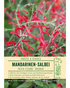 Sortenschild, Salvia elegans 'Tanjarin'