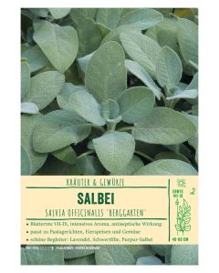 Sortenschild, Salvia officinalis 'Berggarten'