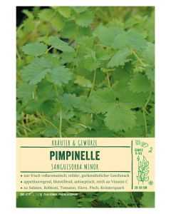 Sortenschild, Sanguisorba minor