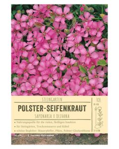 Sortenschild, Saponaria x olivana