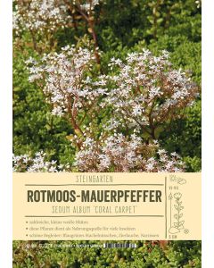 Sortenschild, Sedum album 'Coral Carpet'