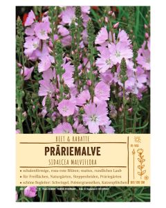 Sortenschild, Sidalcea malviflora