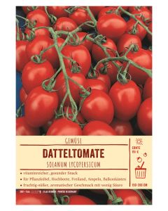 Sortenschild, Solanum lycopersicum