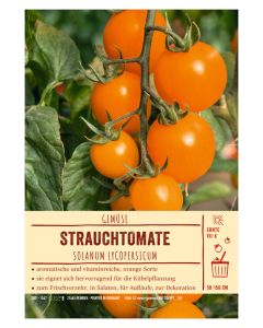 Sortenschild, Solanum lycopersicum