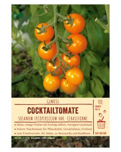 Sortenschild, Solanum lycopersicum var. cerasiforme