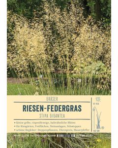 Sortenschild, Stipa gigantea