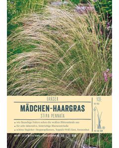Sortenschild, Stipa pennata