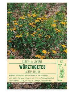 Sortenschild, Tagetes lucida
