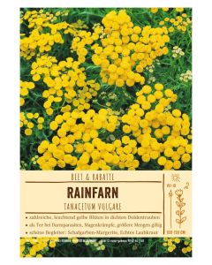 Sortenschild, Tanacetum vulgare